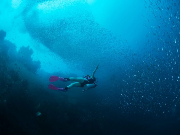 Snorkling & dykning
