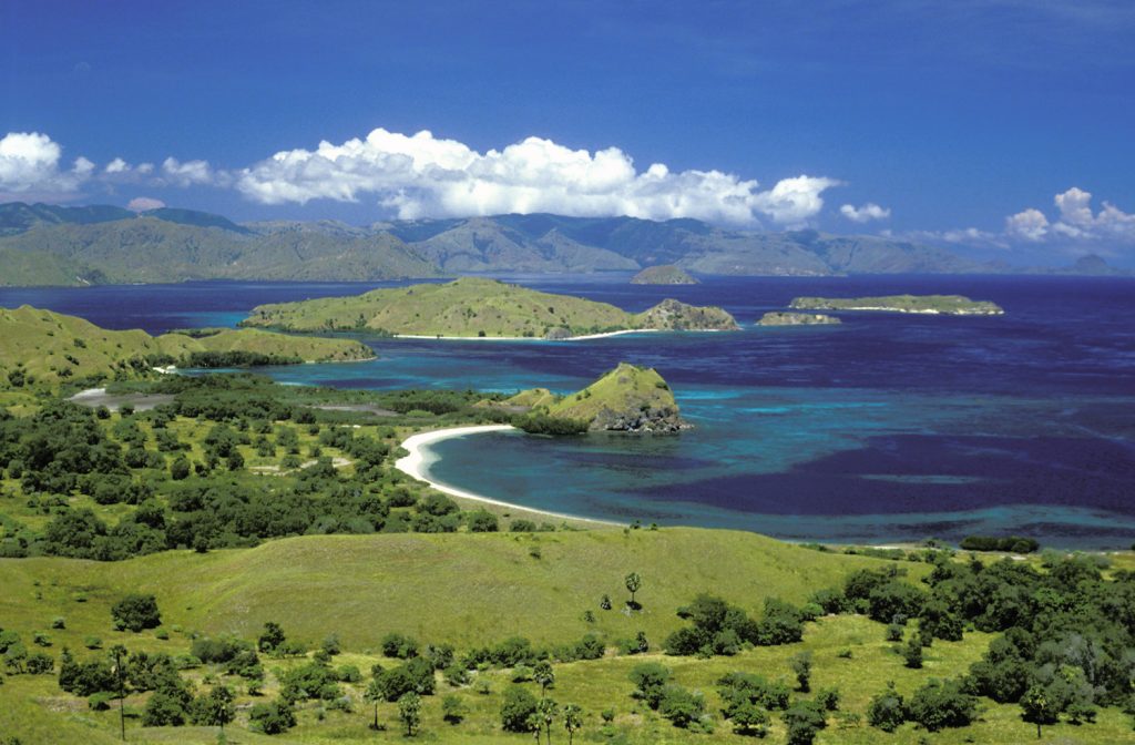 Komodo