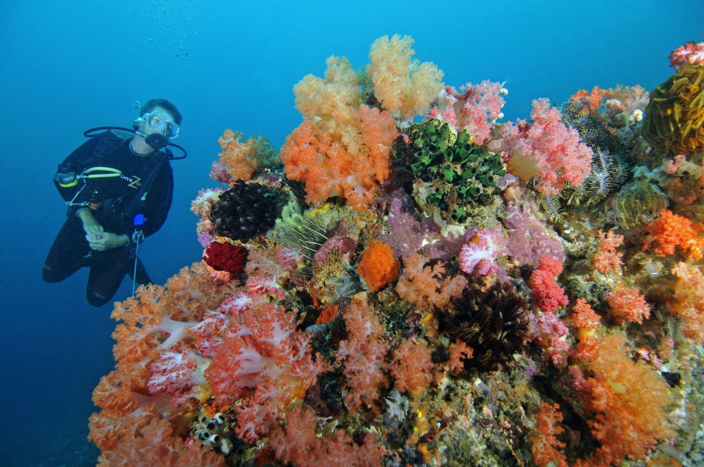 Belongas Bay, Lombok