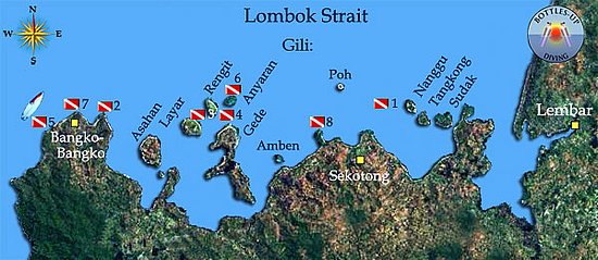 Dykning i Syd Lombok