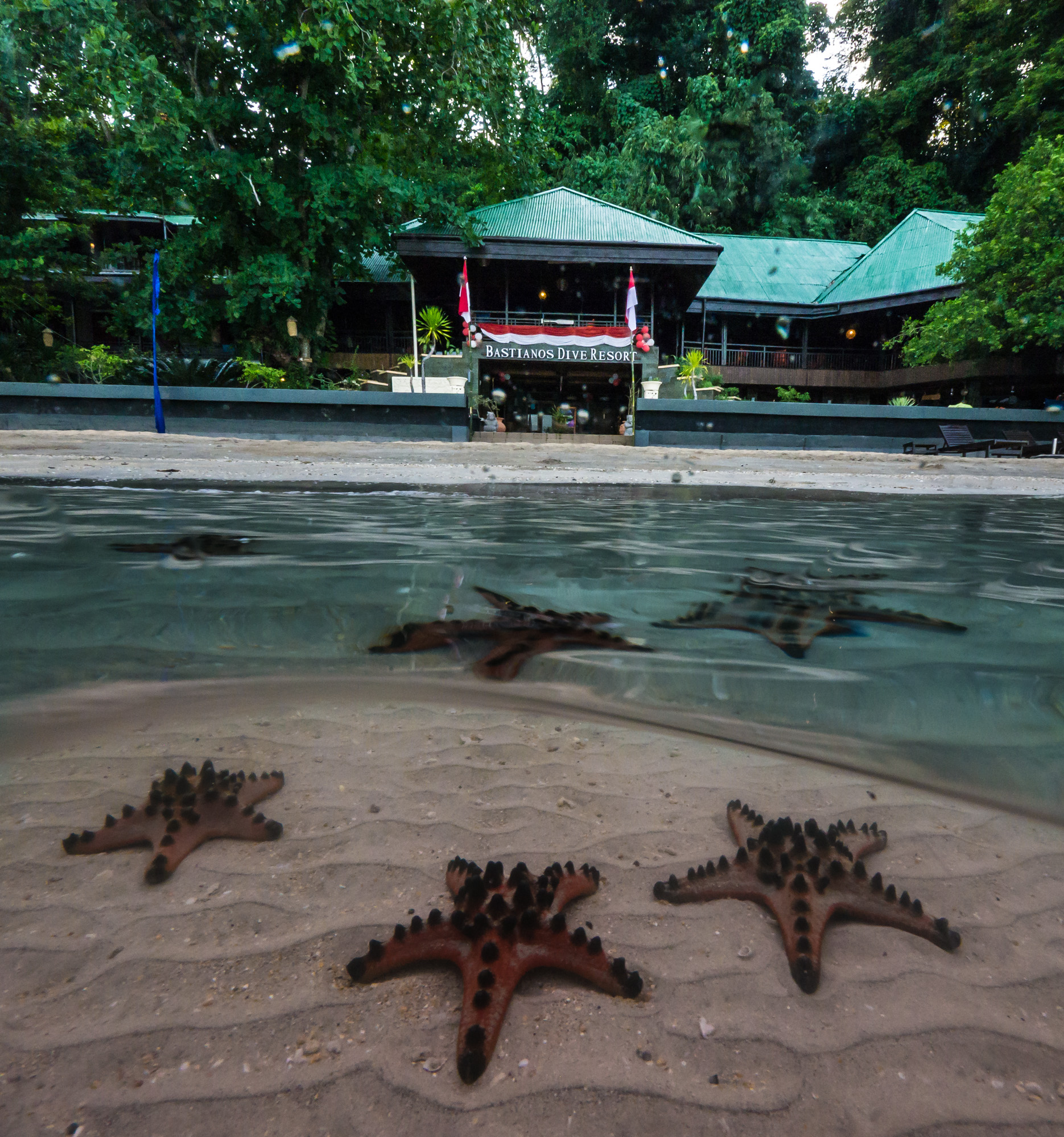 Pulau Bangka