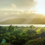 Dykning og natur på Bali