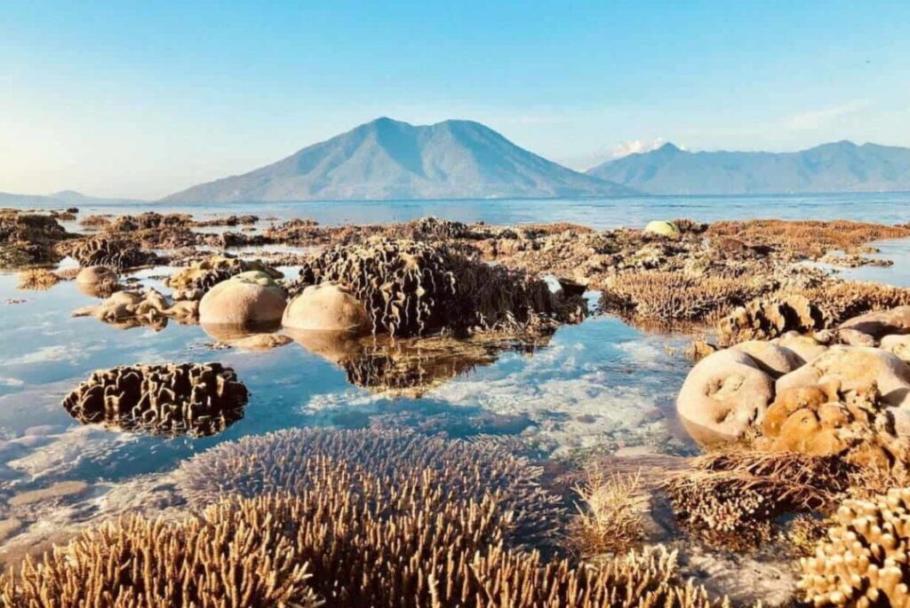 Øst Nusa Tenggara Alor-øgruppen